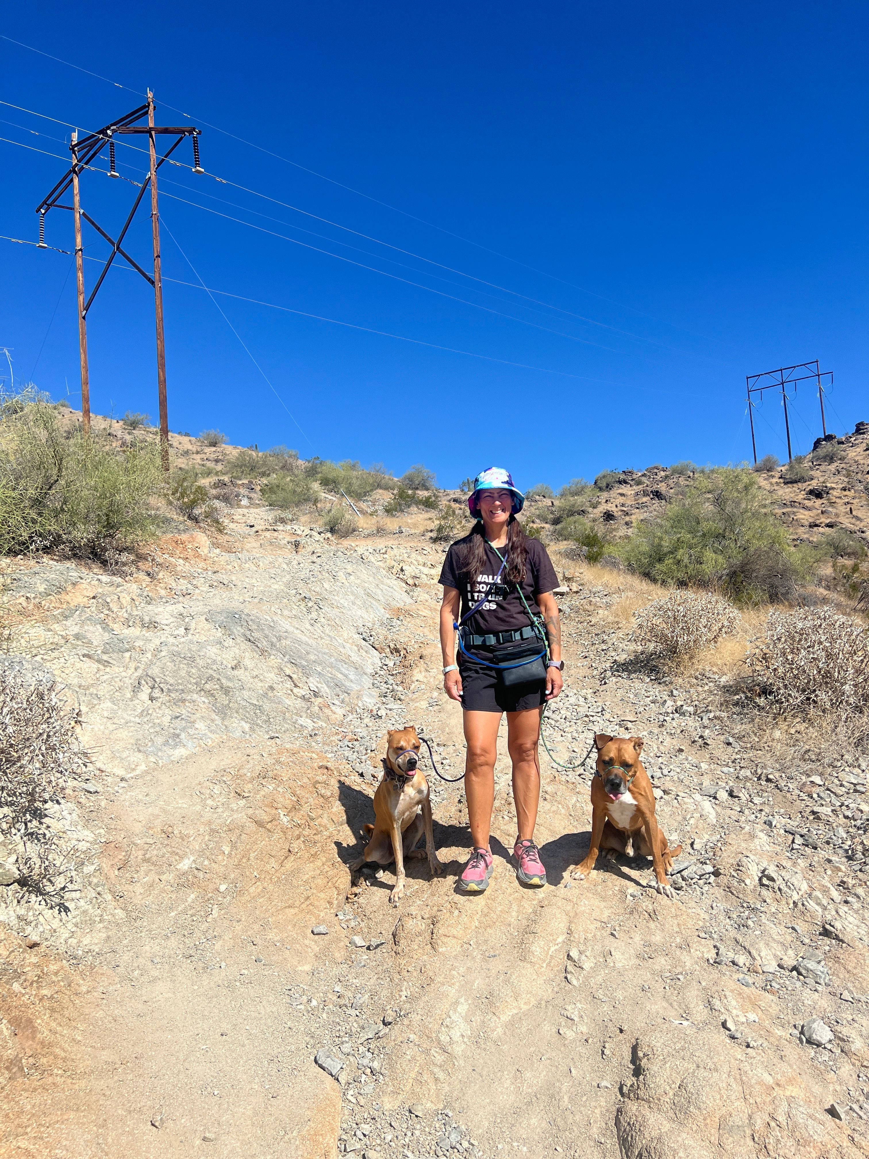 Person standing on rocky terrain with two dogs, power lines in background, clear blue sky.