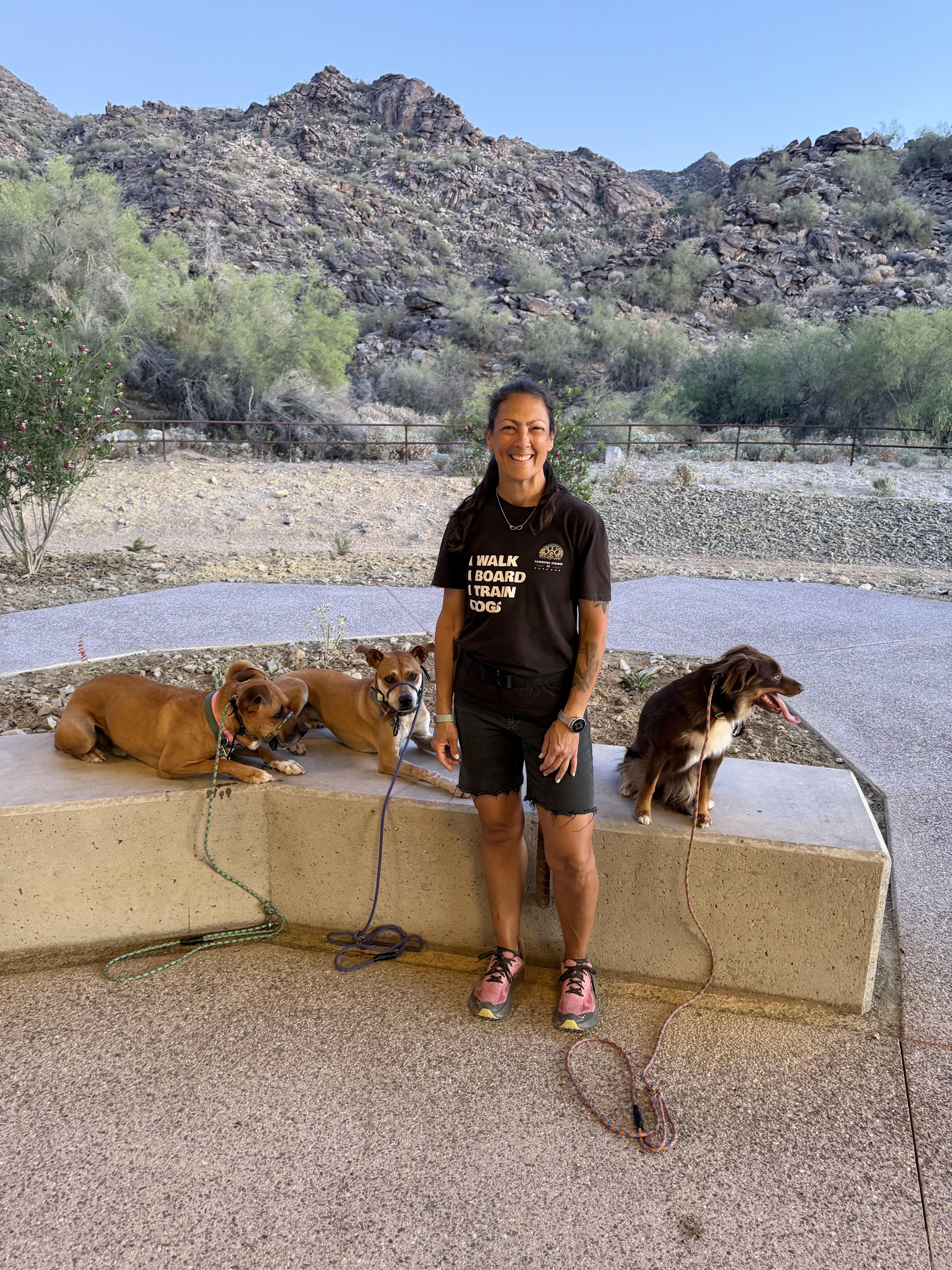 Person standing on a concrete platform with three dogs lying beside them in a desert landscape with mountains and sparse vegetation.