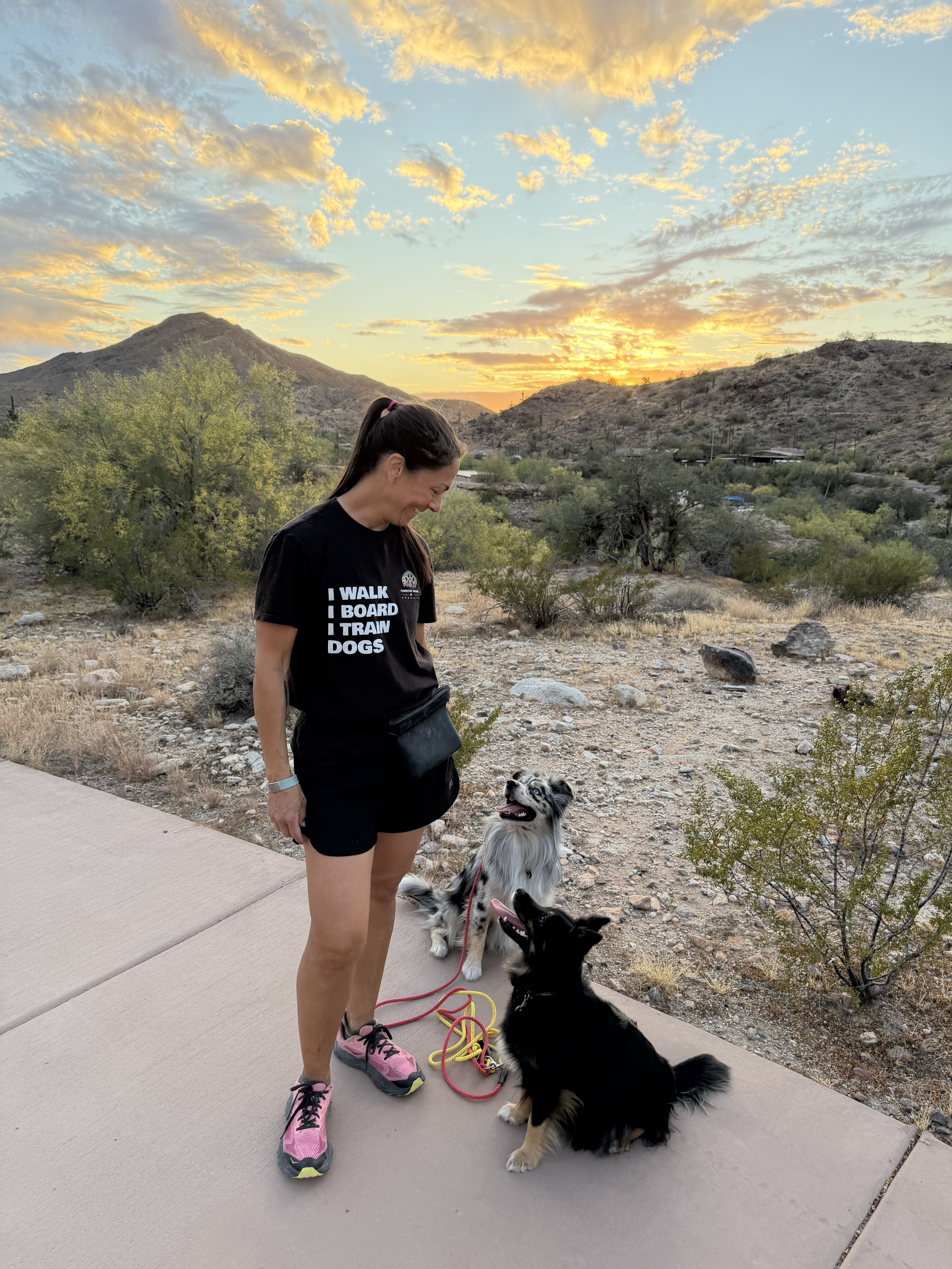 Woman standing on sidewalk with two dogs in desert landscape at sunset, mountains and bushes in background.
