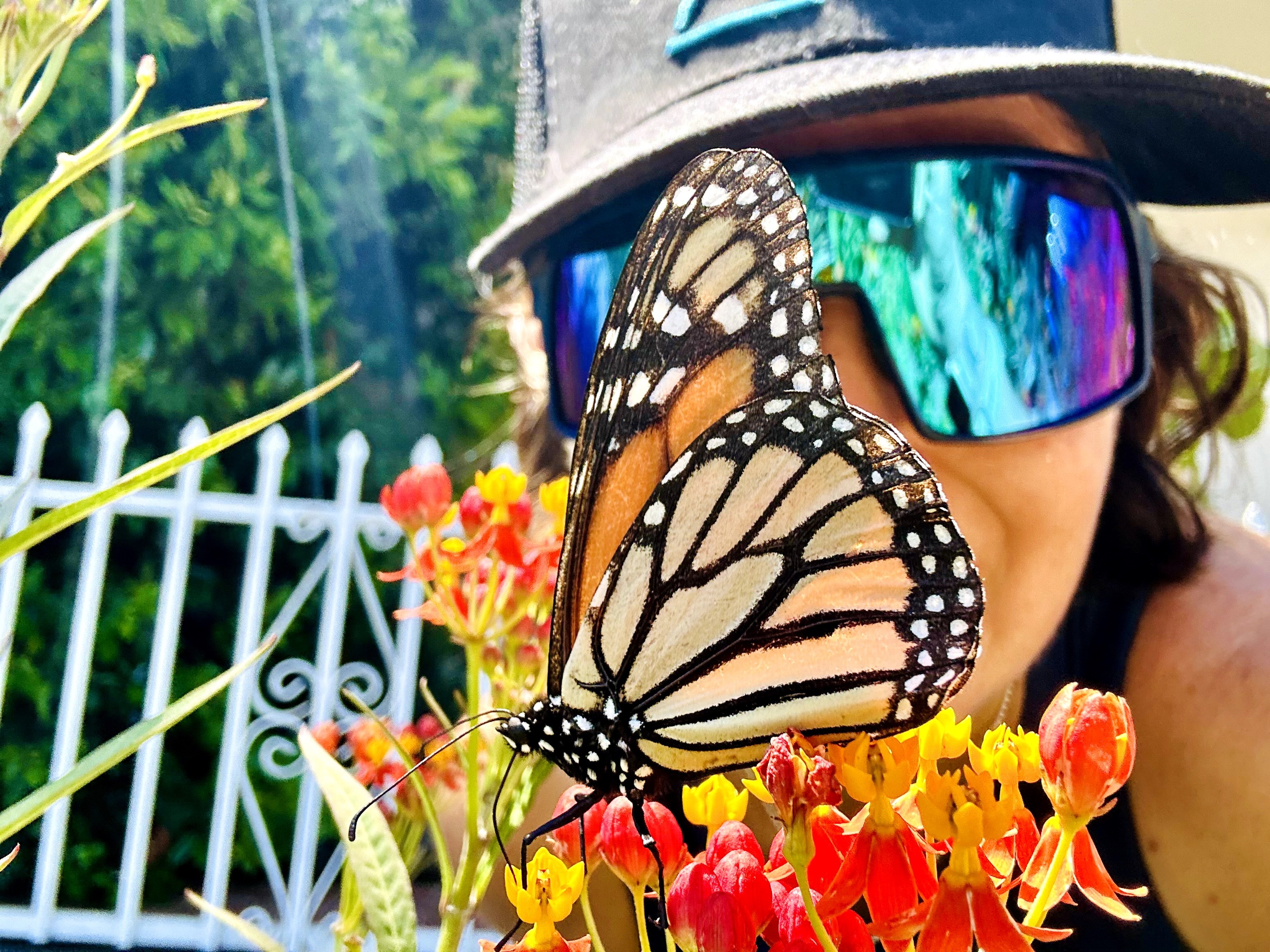 Person wearing sunglasses and a cap with a butterfly on colorful flowers in a garden.