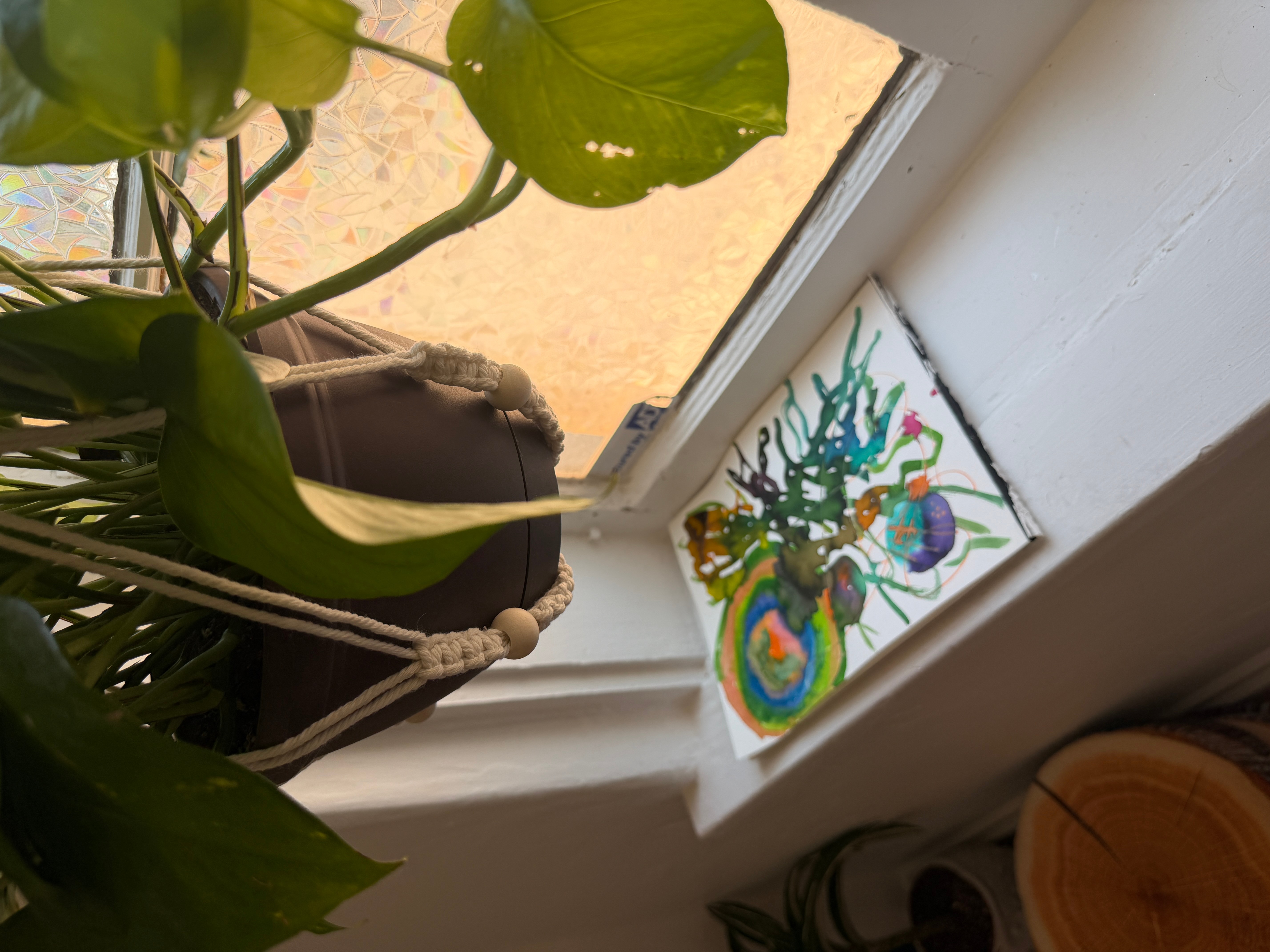 View of a windowsill with a colorful glass art piece and a plant with large green leaves, seen from below.