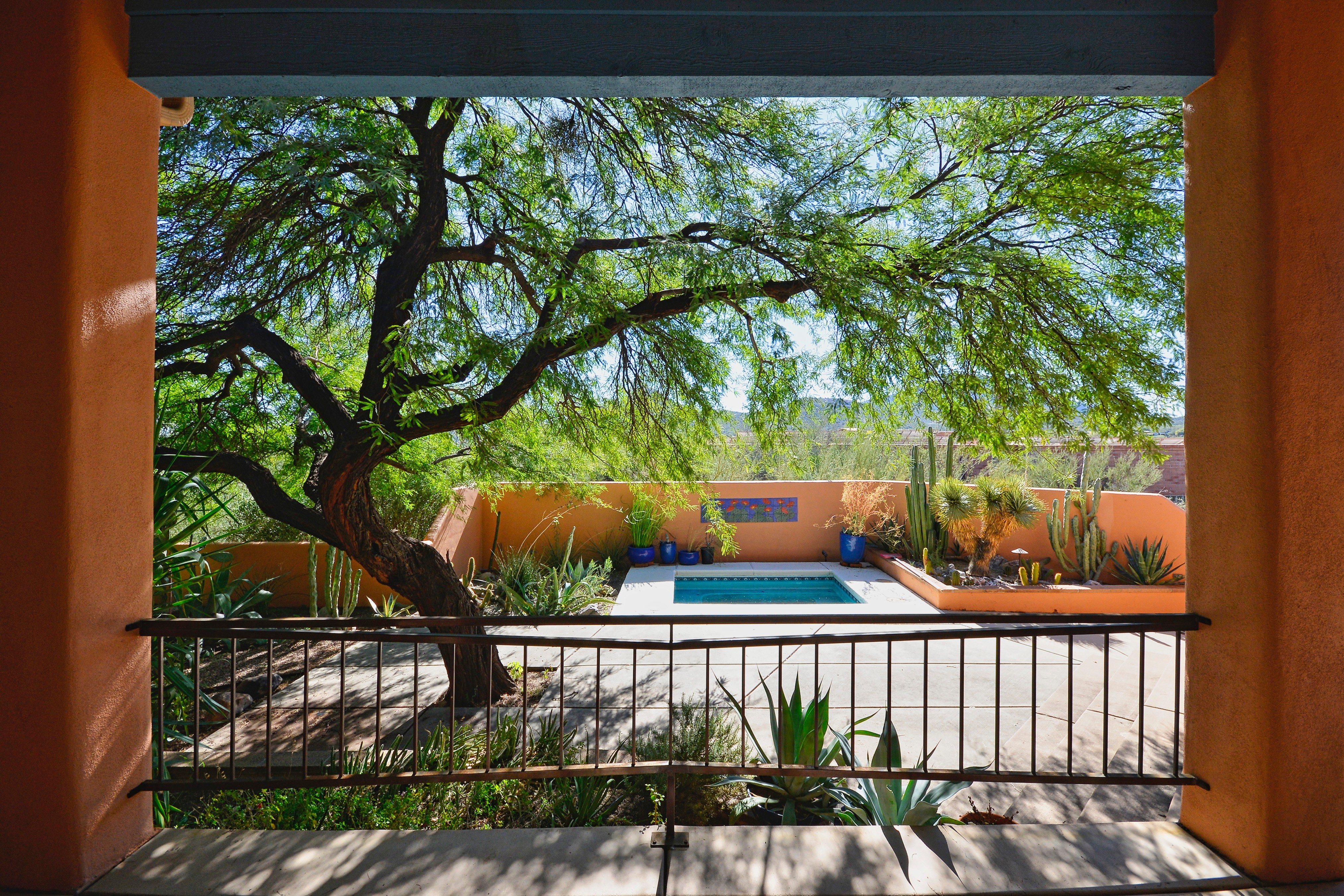 View of a backyard with a tree, a pool, and a fence, seen from a covered patio.