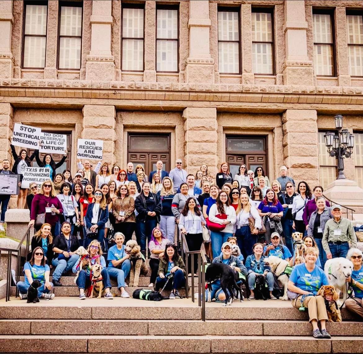 Large group of people gathered on steps in front of a historic building, some holding signs, diverse in age and appearance.