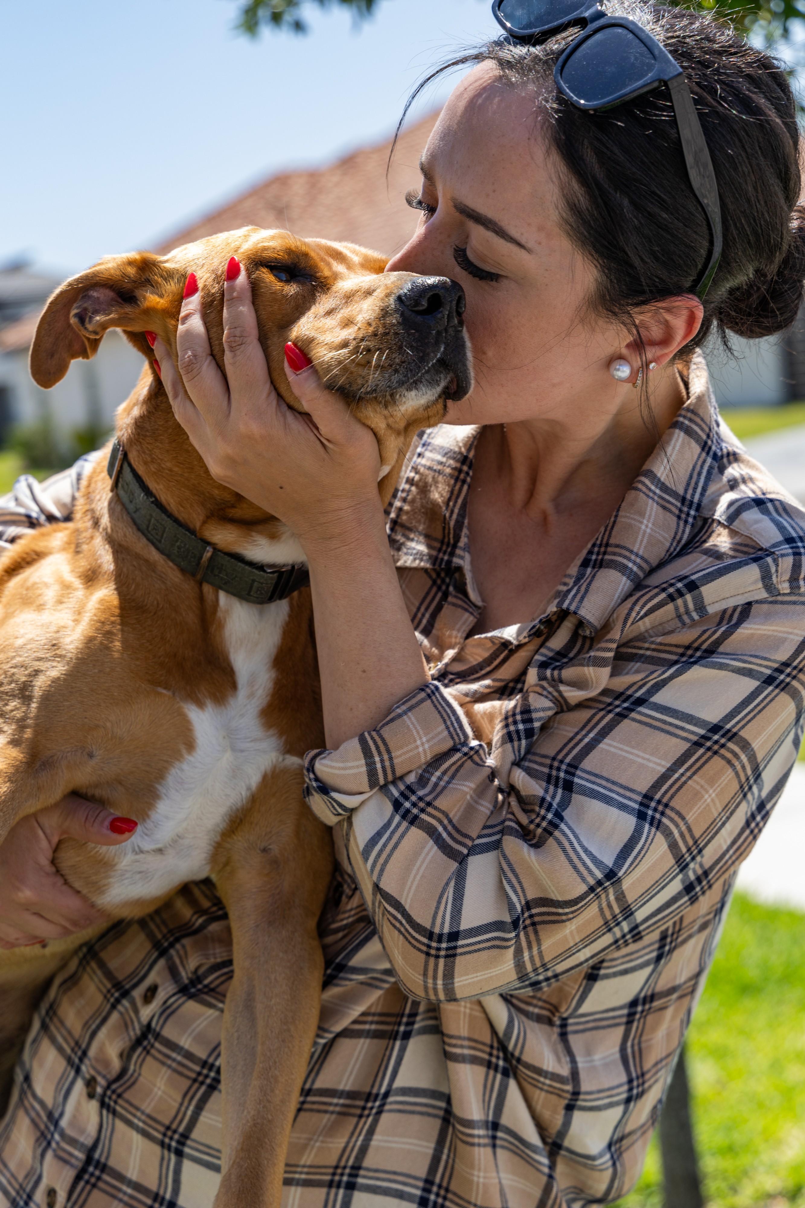 Woman holding and kissing a dog outdoors on a sunny day, with trees and blue sky in background.