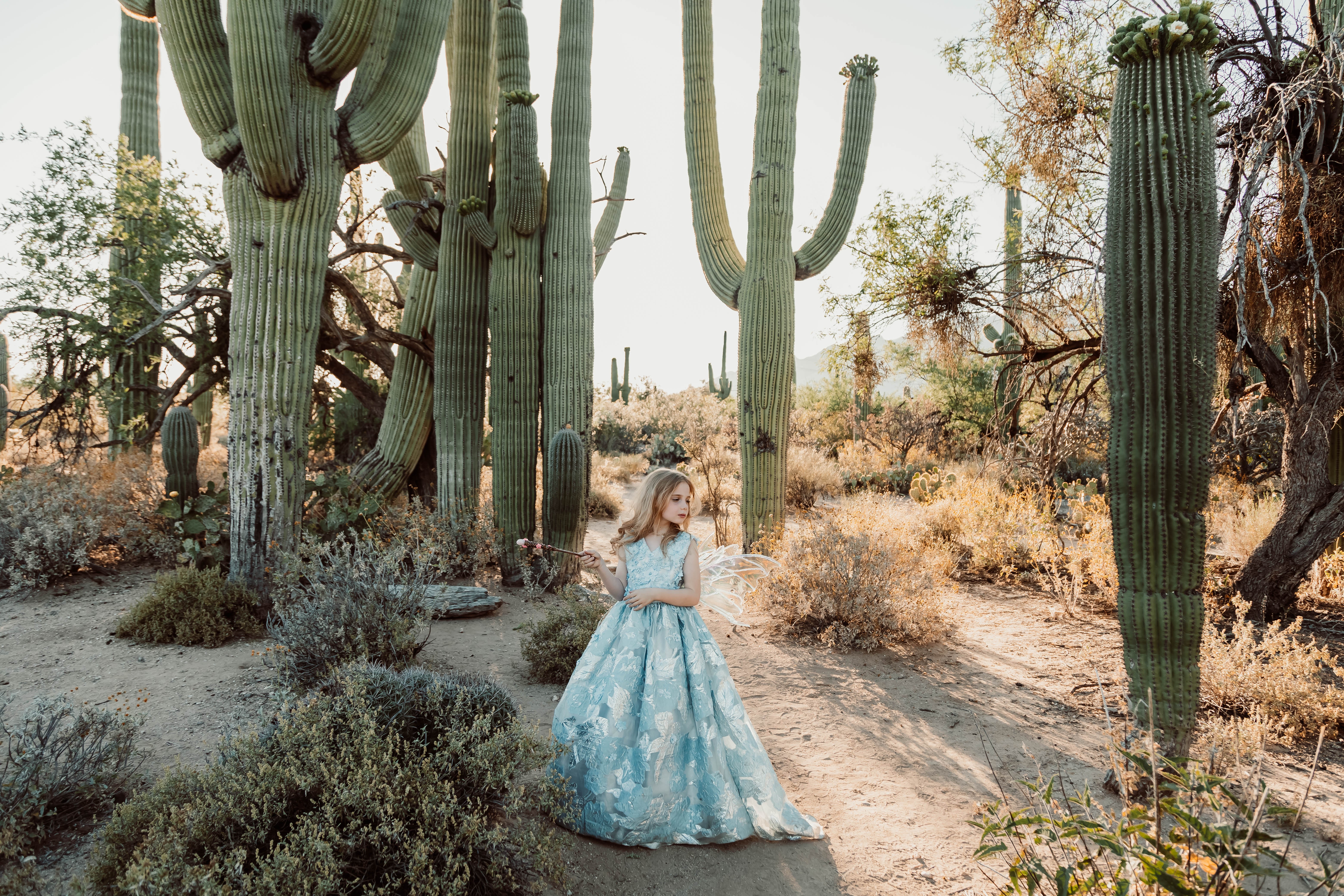 Young girl in a blue dress standing among tall cacti in a desert landscape.