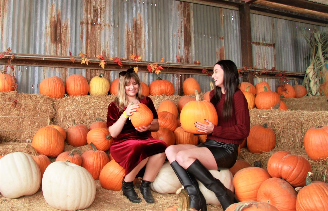 Two women sit among pumpkins in a barn-like setting, holding pumpkins and smiling at each other.