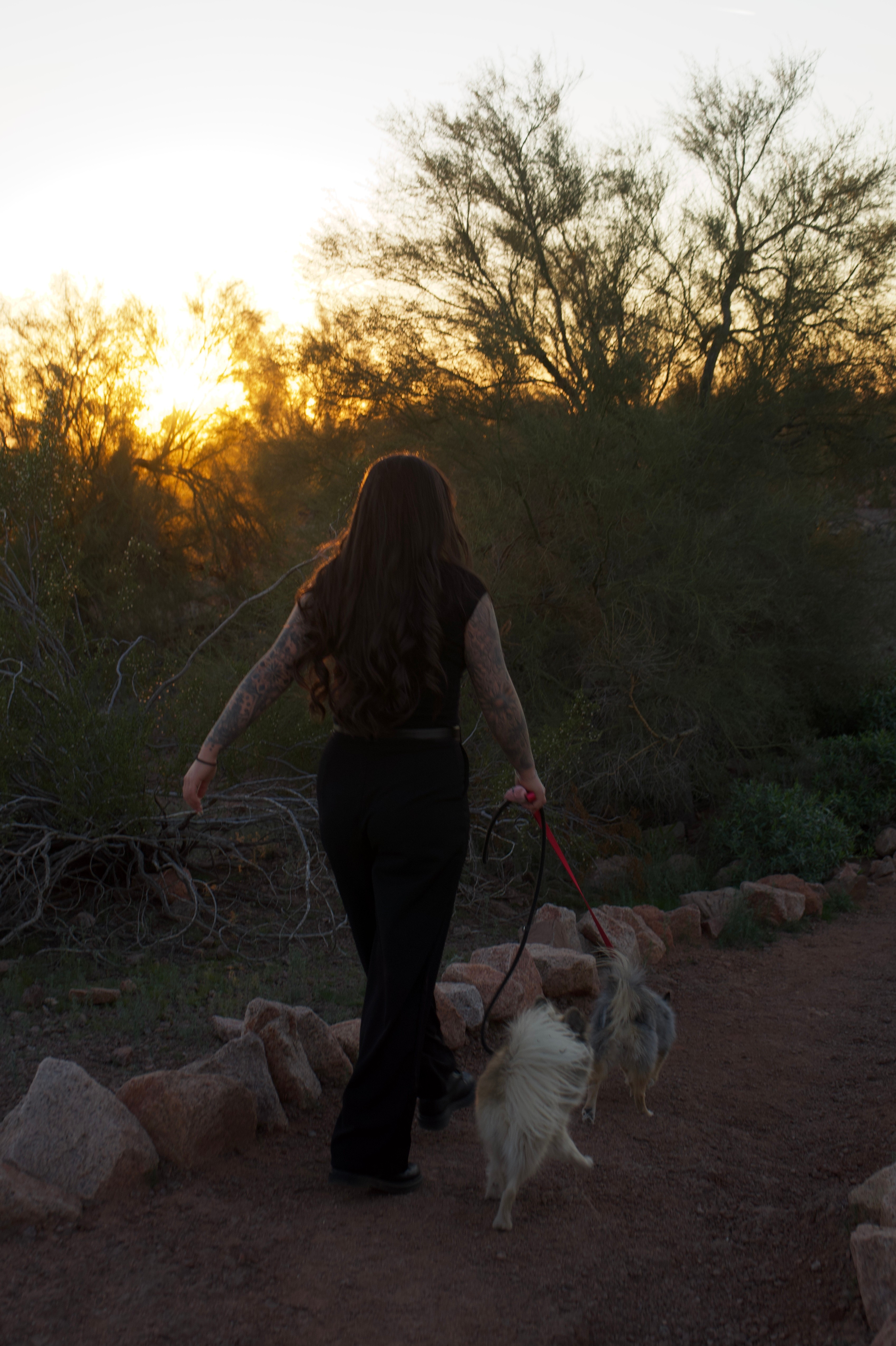 Woman walking two dogs on a dirt path during sunset, trees in the background, her back facing the camera.
