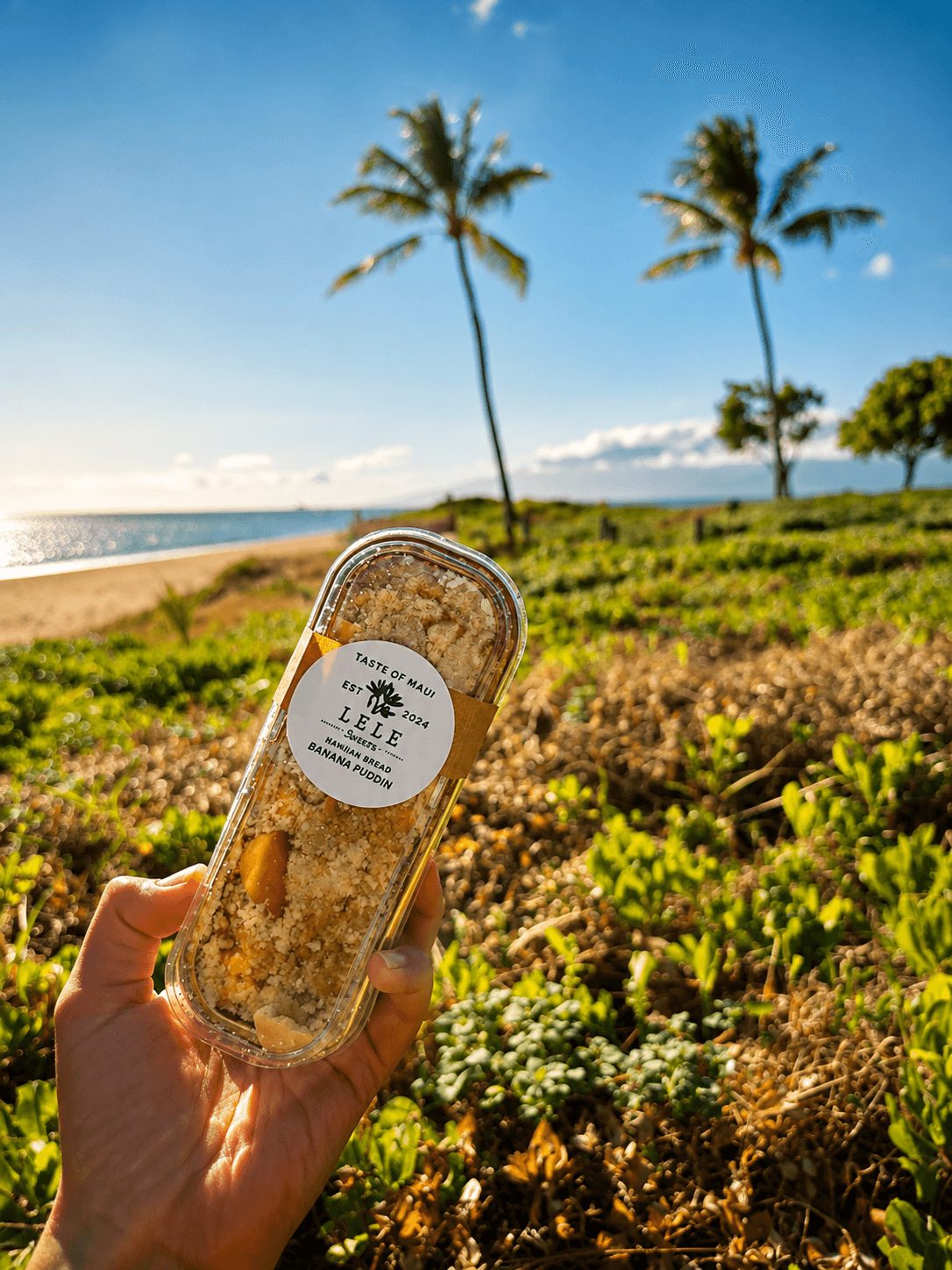 Hand holding a container of food with a beach and palm trees in the background, sunny sky, and greenery.