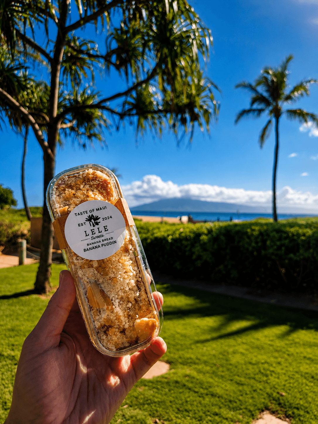 Person holding a clear container with a dessert outdoors, with palm trees, green grass, and a blue sky in the background.