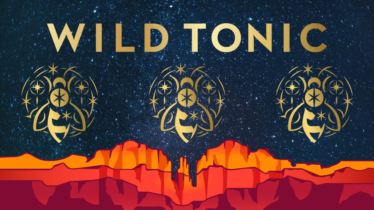 Night sky with stars, three stylized trees, and a landscape with red and orange mountains, and the text 'WILD TONIC'.