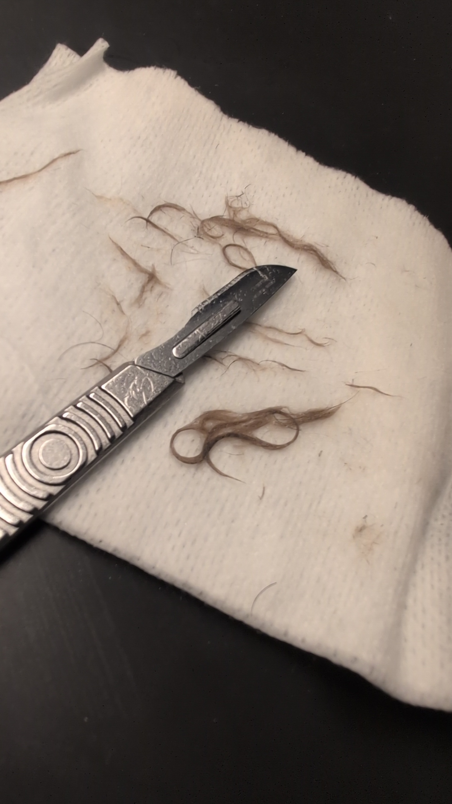 A pair of tweezers holding a small hair on a white cloth, with loose hair strands nearby.